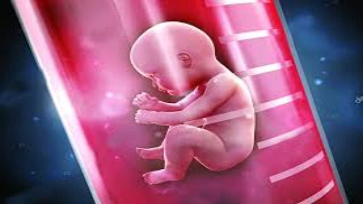 Rajasthan News: Preparation to include IVF in government scheme, government will bear all related expenses