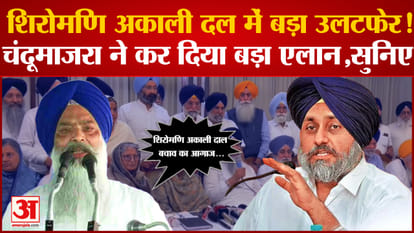 Jalandhar by election SAD divided into two group district head said not support Bibi Jagir Kaur's candidate