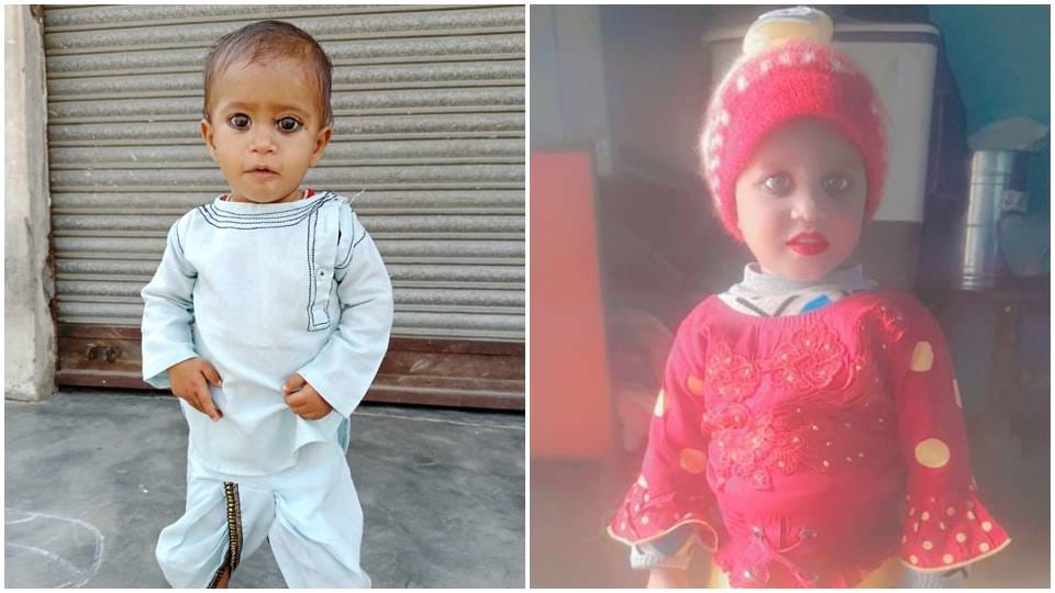 Two children died due to snake bite in Hapur's Simbhaoli