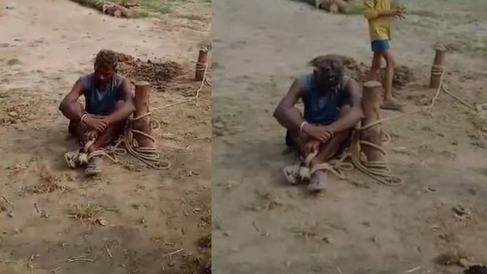 accused beat up youth on charges of theft and then tied him with rope to peg used to tie animals In Mainpuri