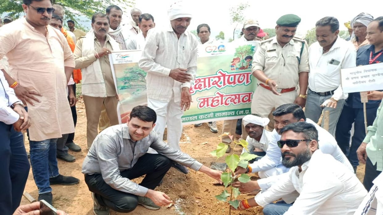 Katni Tree plantation campaign started on rocky land DFO says Trees are form of God which only gives us