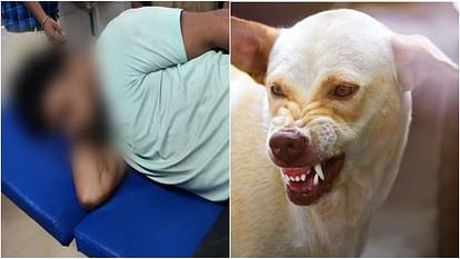यूपी: कुत्ते की तरह भौंकने लगा युवक, बैठने से लेकर खाने तक बदला अंदाज; फिर हुई ऐसी मौत...कांप गए घरवाले Young man Started Barking Like Dog Changed His Style Such Death Family Members Were Shocked