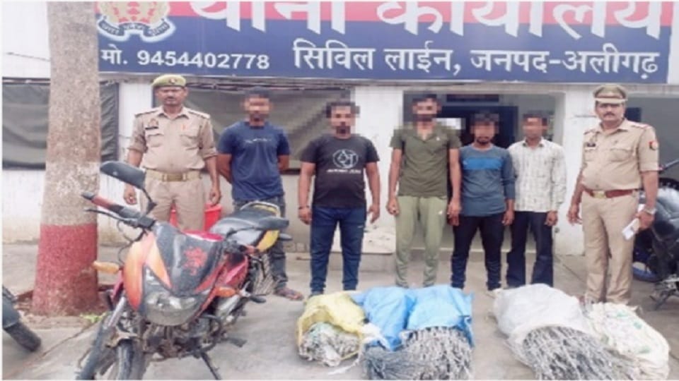 Wire theft gang caught in Aligarh