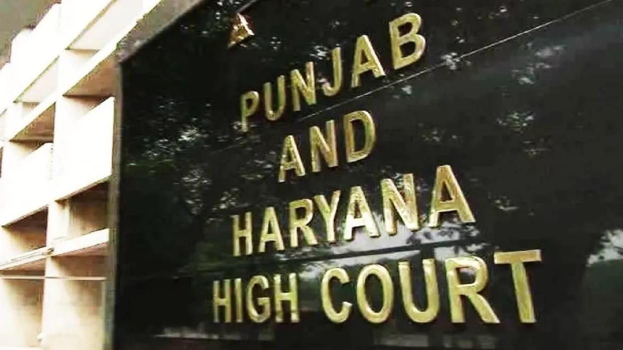Punjab-Haryana High Court's strictness, If vehicle is parked on the roadside, parking lights are necessary