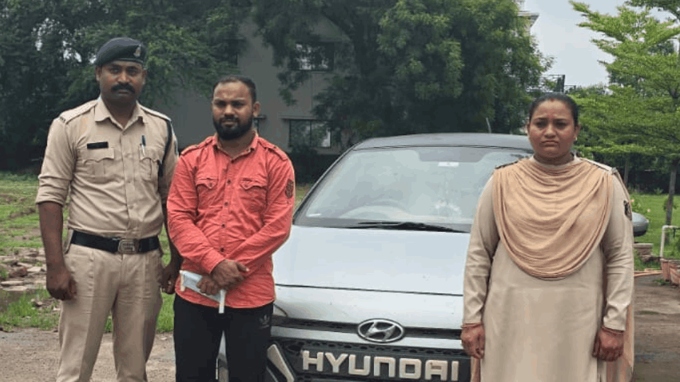 police arrest absconding accused young man who had crush a calf with a car in Bilaspur