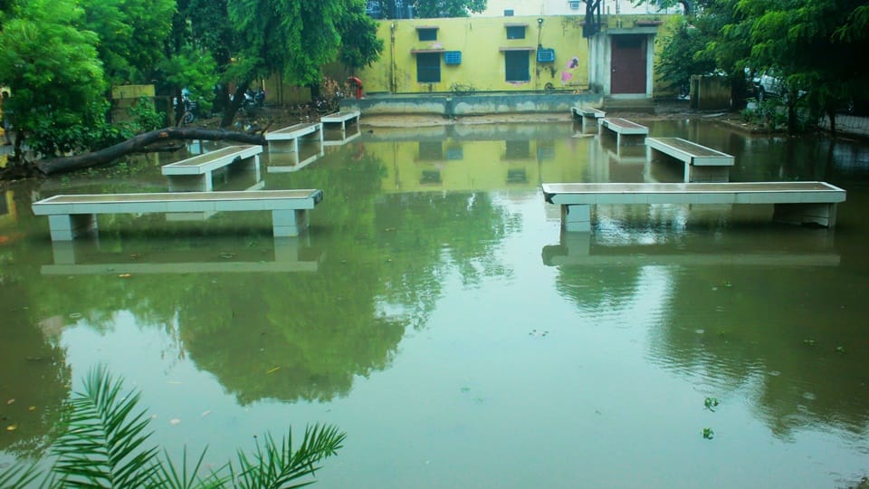 Lucknow: After the first rain, there was power failure in many areas of the city, trees fell, one died due to