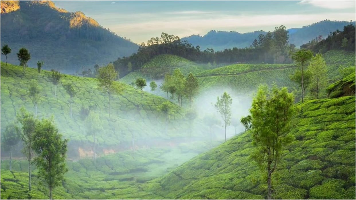 Summer Vacation Places in Karnataka Never Feel Heat Know About Locations Details