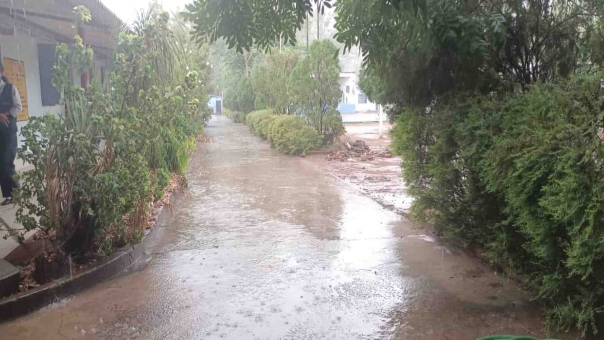 Umaria News: Heavy rains in Umaria brought relief from the heat