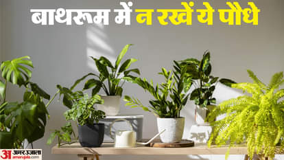 वास्तु टिप्स फॉर बाथरूम