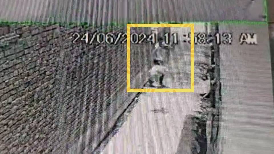 brother-in-law beat his brother-in-law pet dog to death In Agra