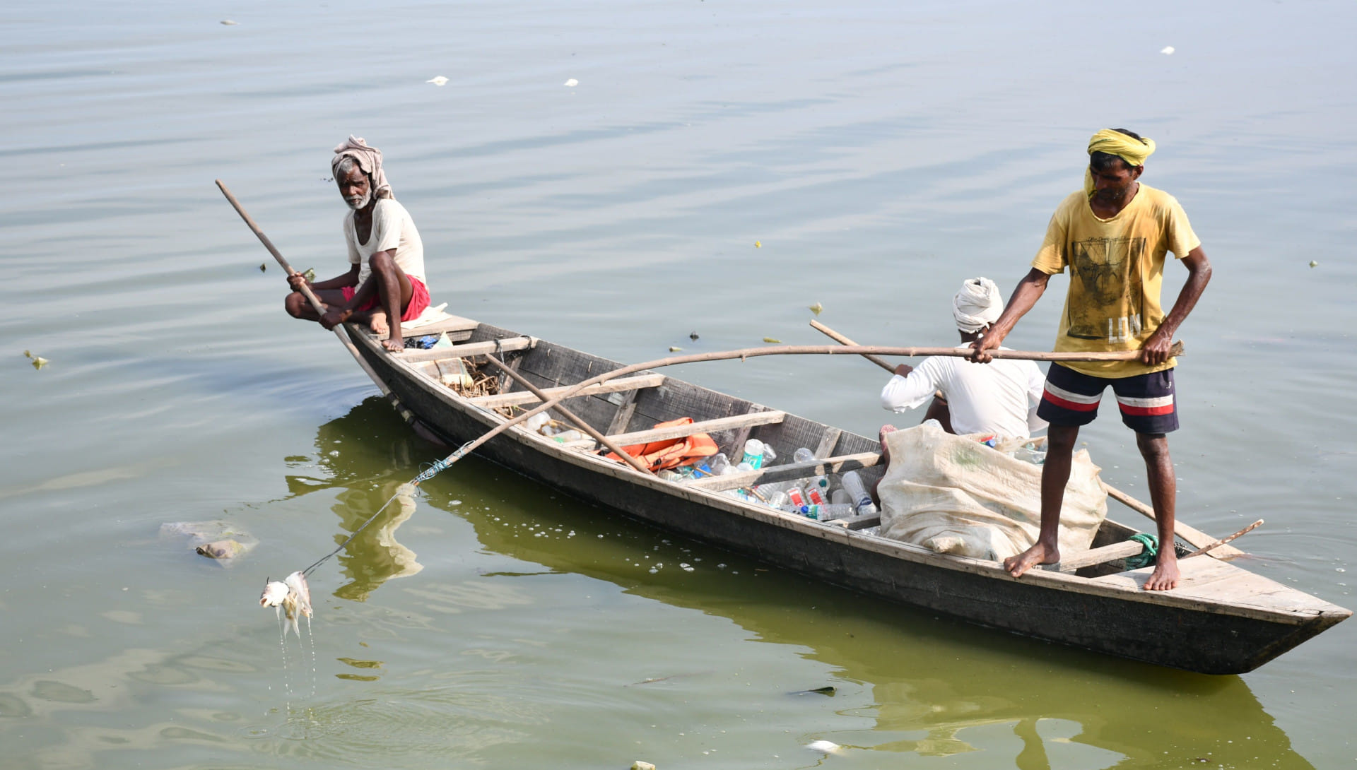 Due to water pollution in Gorakhpur's Ramgarhtal, fishes have started dying, water is stinking