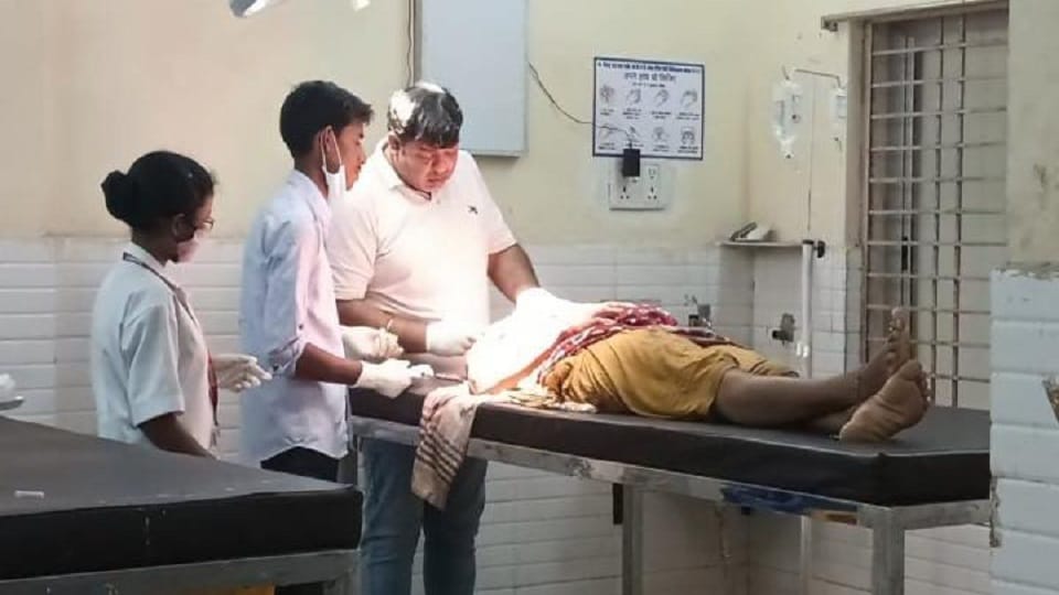 woman who went to collect Putu in a group was attacked by bears in Korba