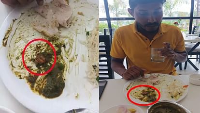 Ashoka Biryani Raipur: Piece of meat found in vegetarian food, investigation team made a big revelation