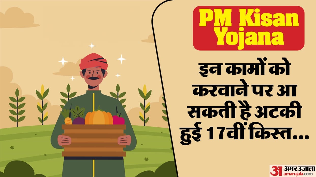 PM Kisan Nidhi: These work have to be done to get the stuck 17th kist