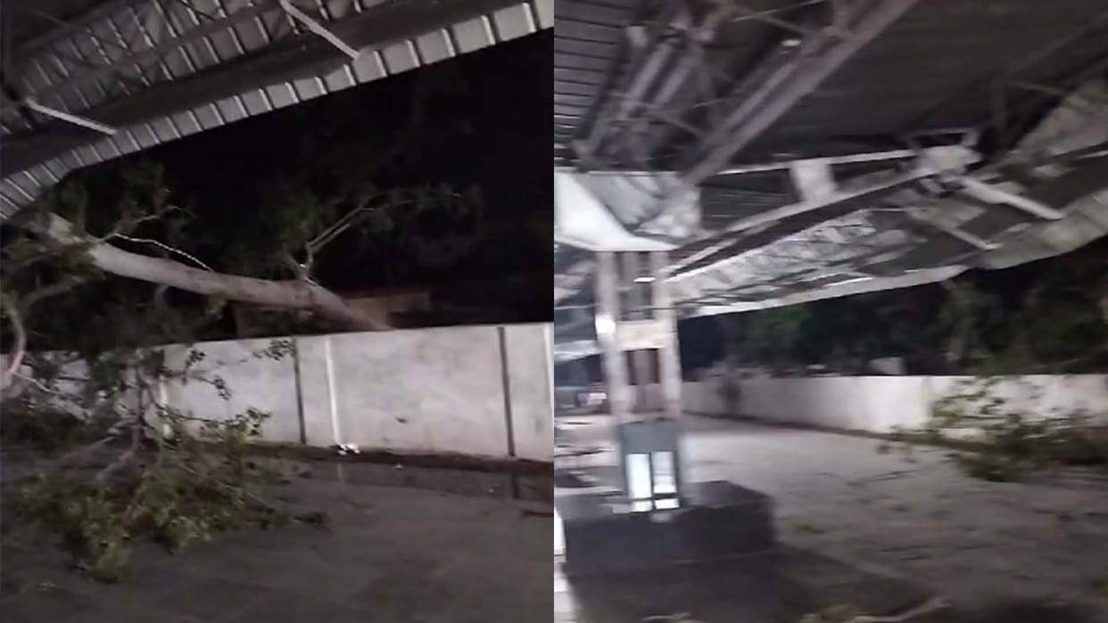 Chitrakoot: Tree fell on OHE wire, three trains affected, rail traffic restored after two hours