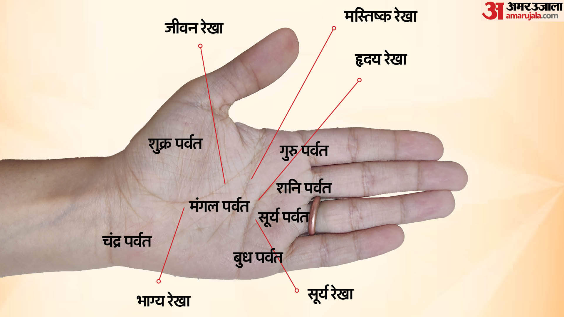 Lucky people have such lines on their palms they earn wealth along with respect in hindi