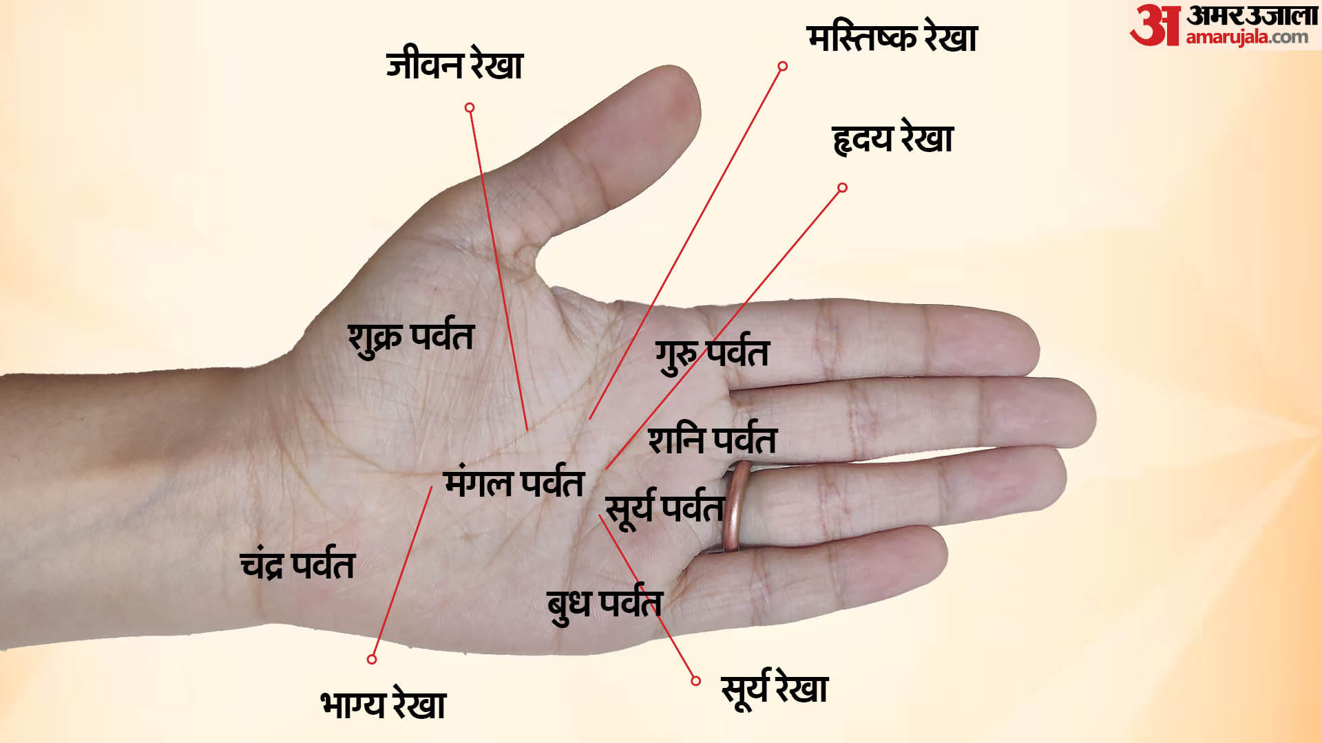 palmistry lucky person get this type of dhan rekha can earn lot of money in hindi