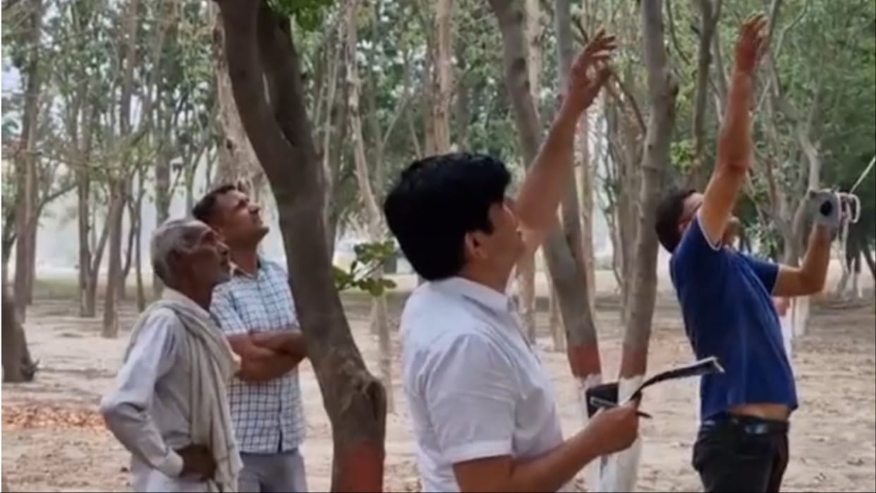Karnal: Dead body of a youth found hanging from a tree in Atal Park