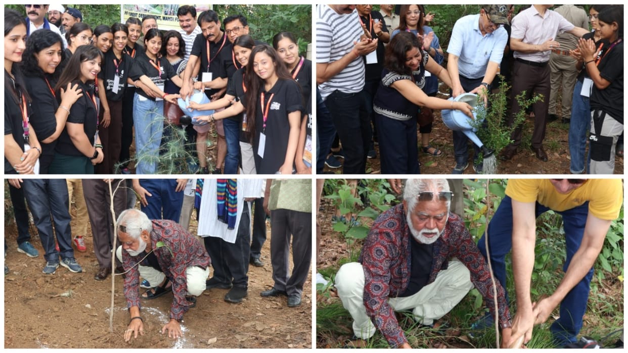 Mandi Film Festival District administration forest department and artists from the film world planted trees