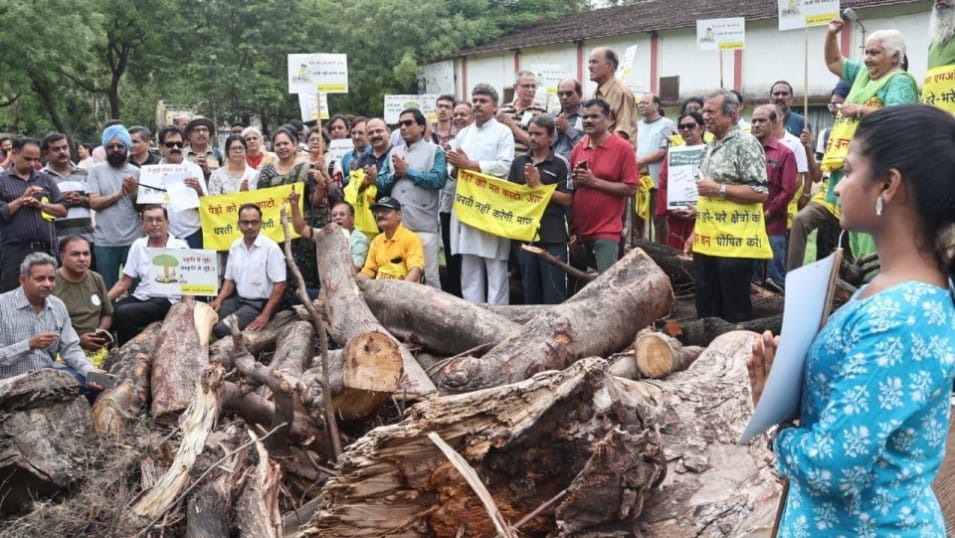 indore news plantation drive tree cutting issue malhar ashram
