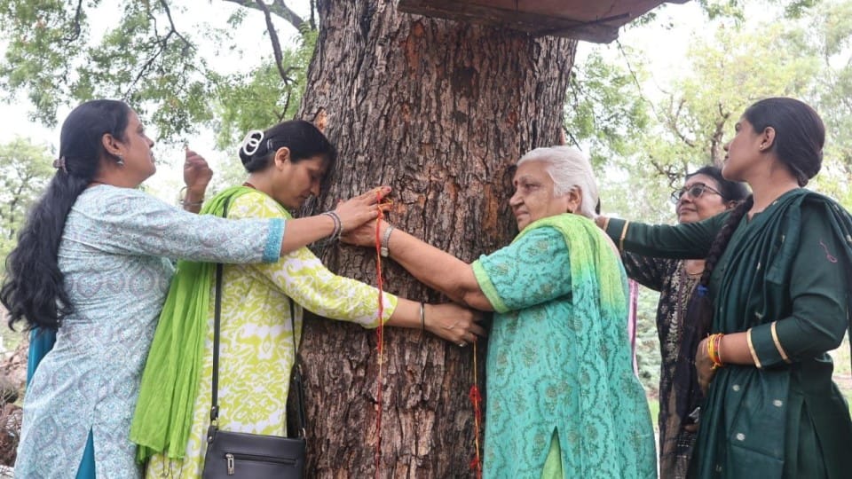 indore news plantation drive tree cutting issue malhar ashram