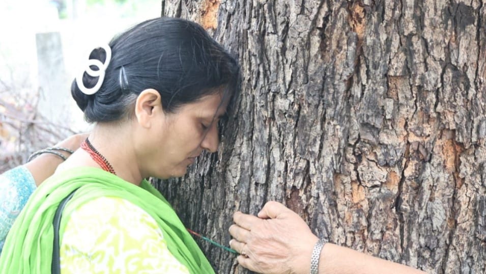 indore news plantation drive tree cutting issue malhar ashram