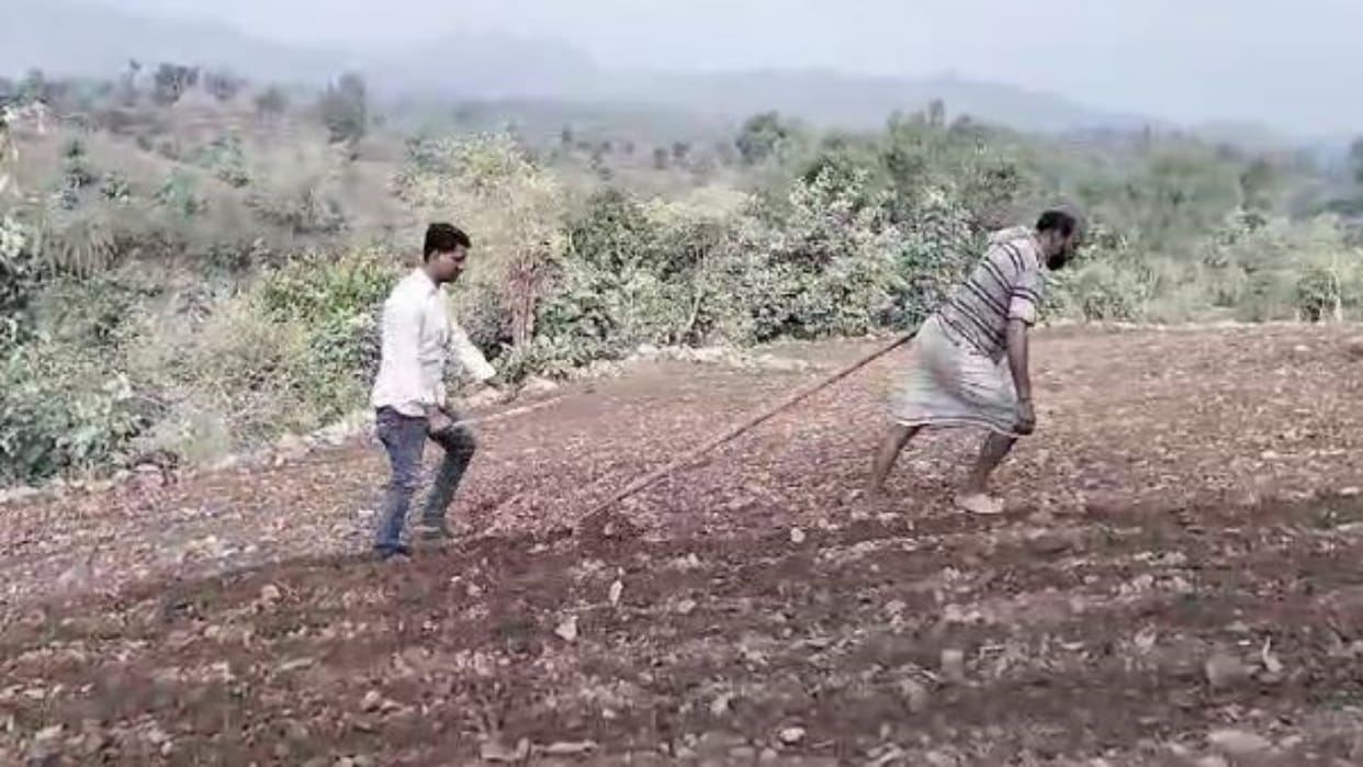 Sirohi News: Story of Abu Road tribal area, due to lack of facilities, they sow by plowing themselves