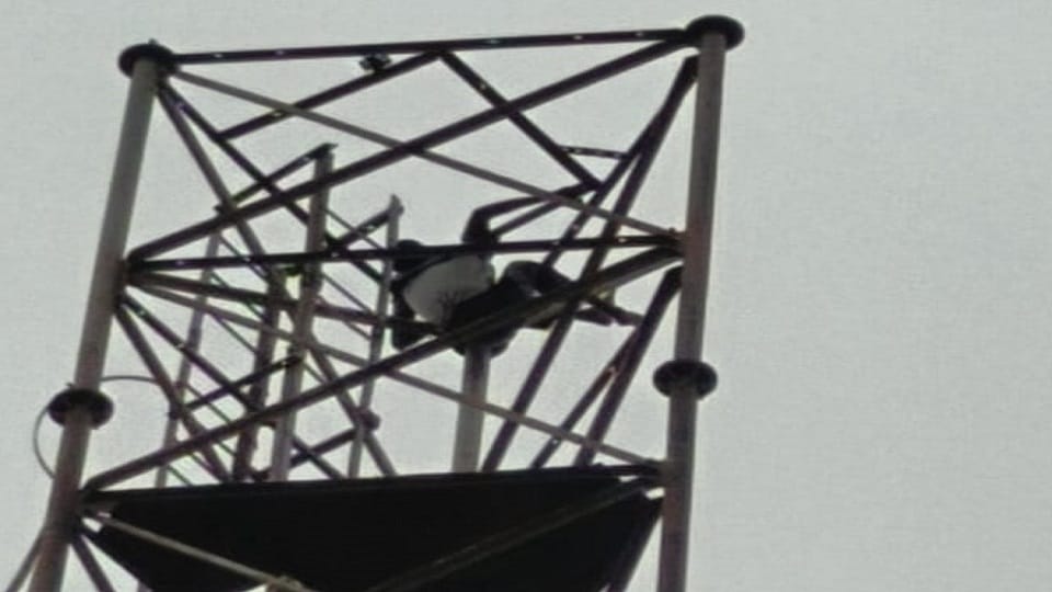 Drunk youth climbed a mobile tower