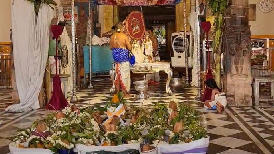Jyeshthabhishek Celebration In Rangnath Temple Vrindavan mathura