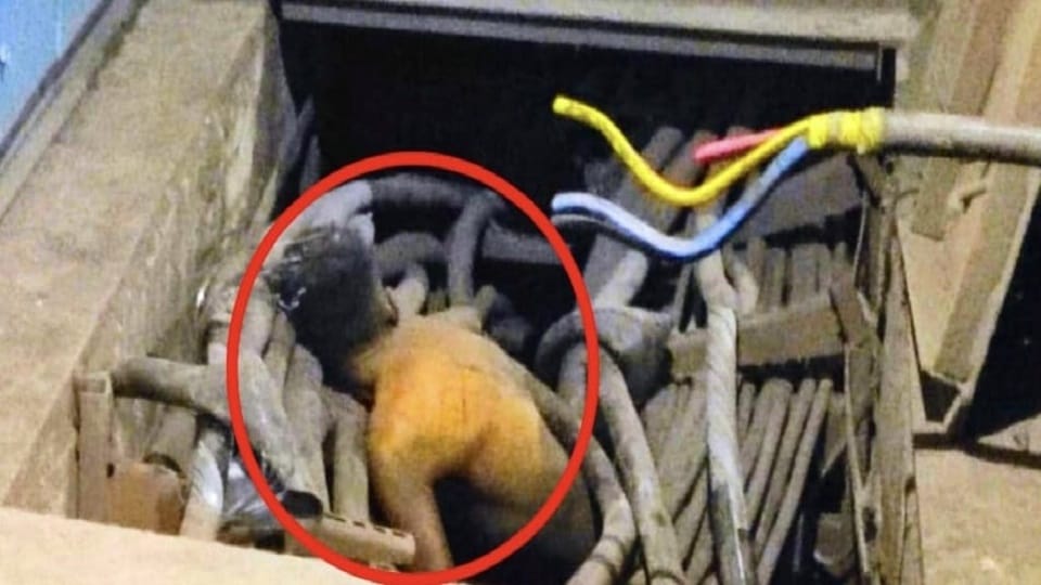 भिलाई स्टील प्लांट में शव मिलने से हड़कंप