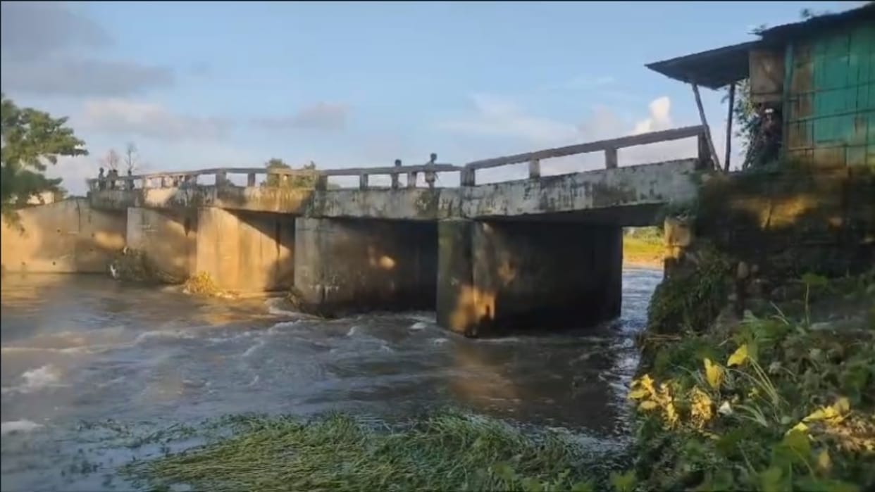 Bihar: pillar of bridge built on Bund river in Kishanganj sank by one foot, bridge collapsed in Bihar News
