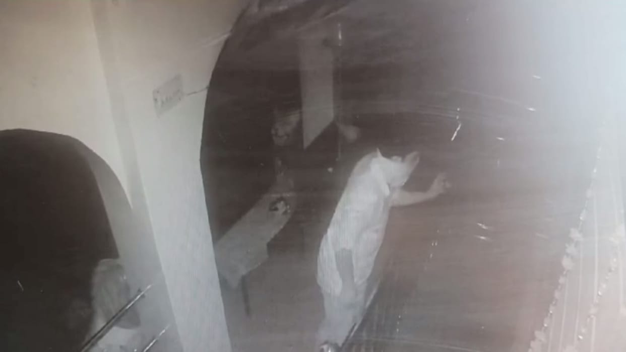 Attempt of theft in Durga Mata Mandir Dal of Gohar, the culprit caught in CCTV