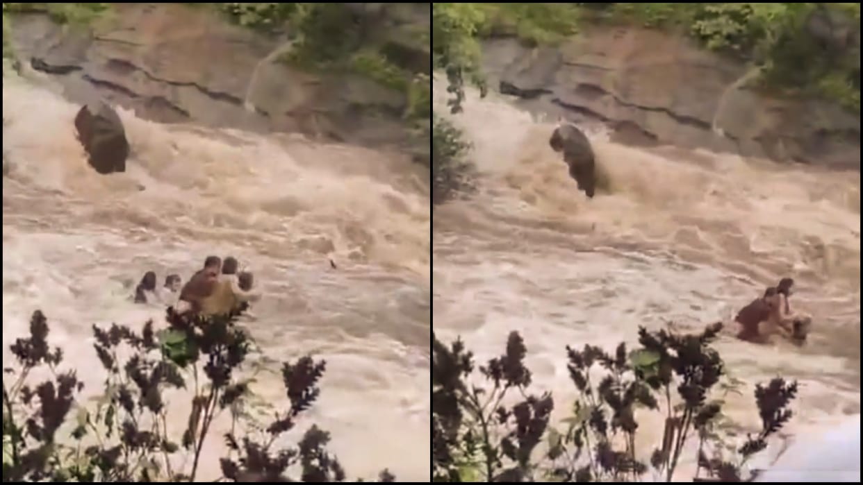 On Camera Family Of seven Swept Away In Swollen Waterfall Near Mumbai news in hindi