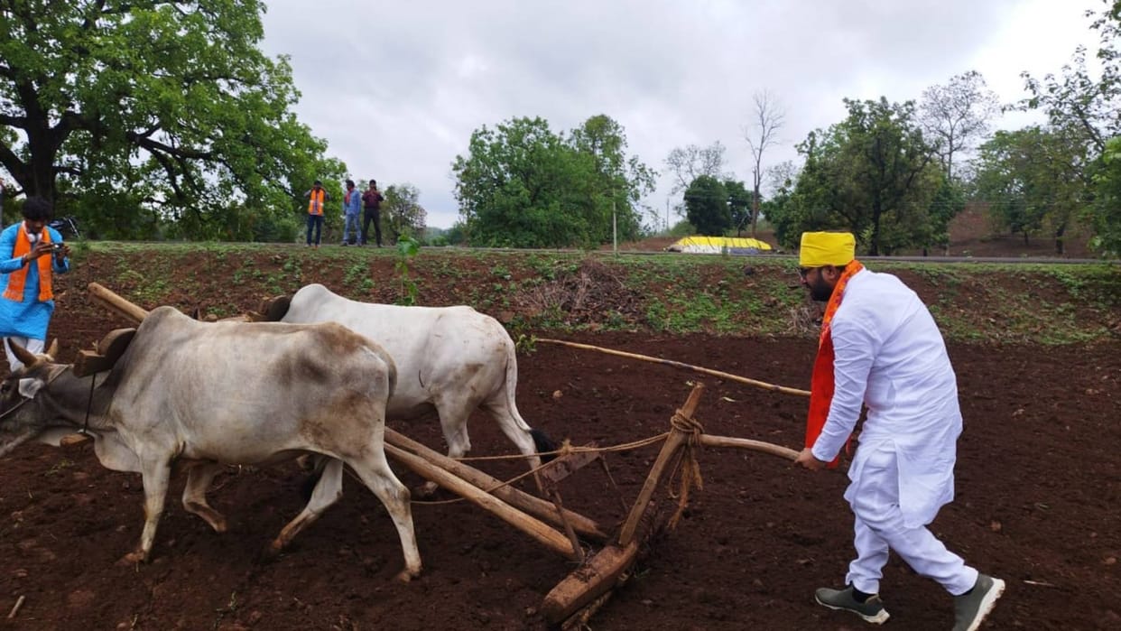 Chhindwara Amrawara By-Election MP Vivek Bunty Sahu ploughed field with a farmer in Batka Khapa