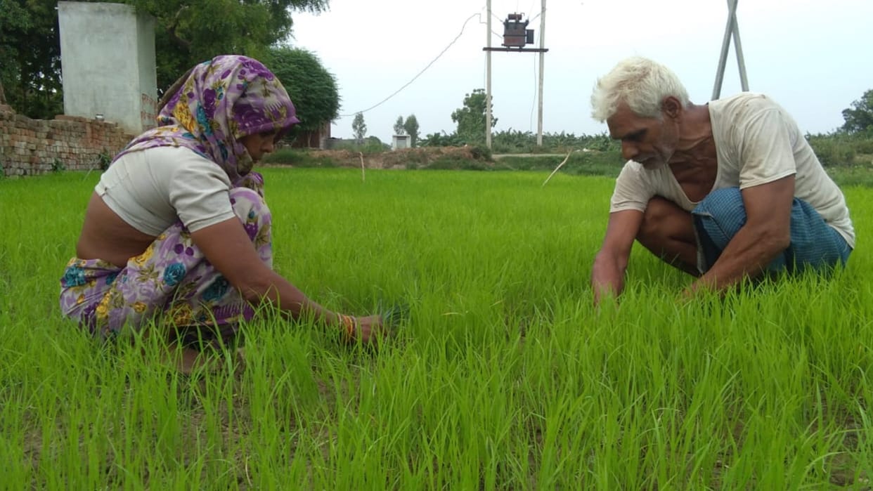 economic survey cea anantha nageswaran said Re-orientation of farm policies needed despite subsidies