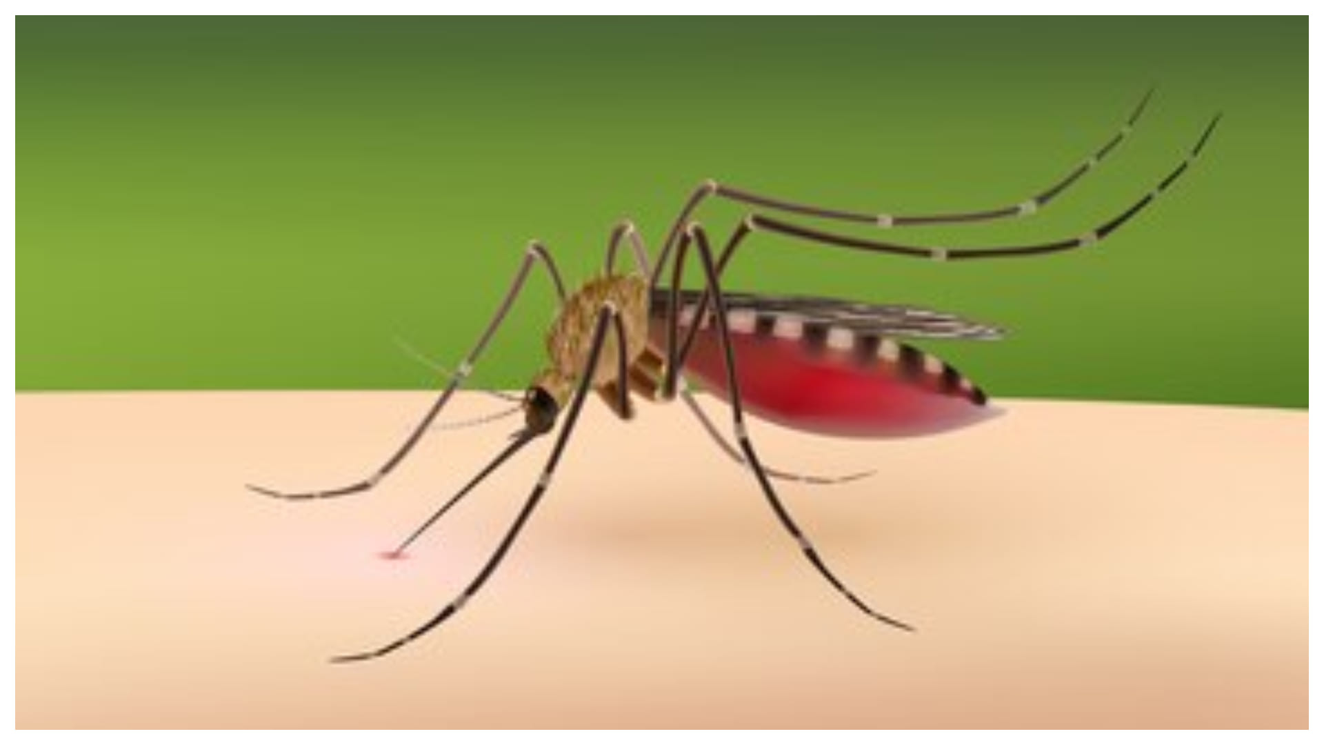 How to keep cooler safe from dengue know tips here
