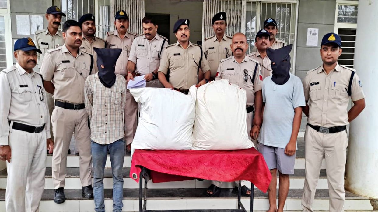 Katni consignment of ganja worth nine lakhs from Odisha was caught by Katni police action under NDPS Act