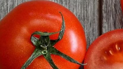 Demand for Himachal tomatoes increased in other states prices increased