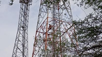 youth came down from the mobile tower in Jhansi after 16 hours
