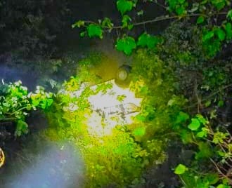 Accident News Vehicle falls into ditch on Dehradun-Mussoorie road girl dies