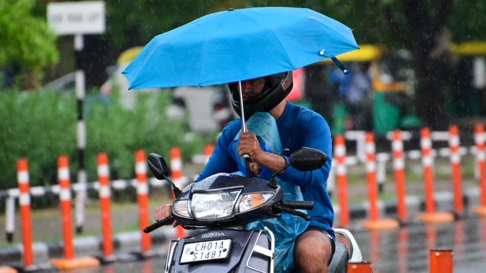 Chandigarh panchkula mohali weather update news