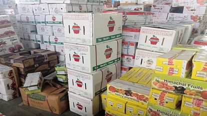 Apples arrived in universal cartons at Bhattakufar fruit market, 20 kg box of Summer Queen apples sold for Rs