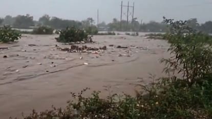 बेरिल तूफान ने जमकर तांडव मचाया।