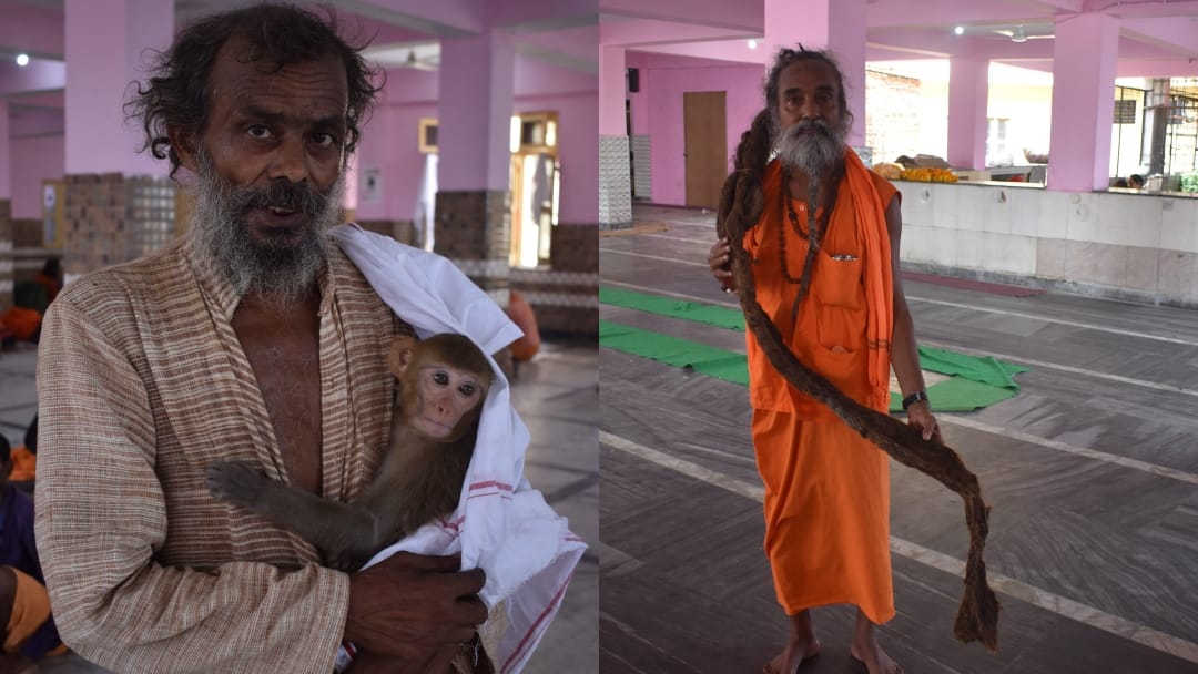 amarnath yatra : Along with MP Sanjit Das monkey Ramkali also visit holy cave Baba Barfani