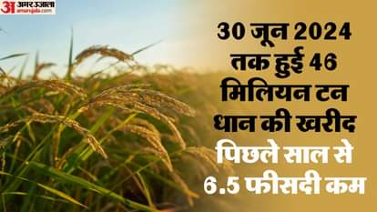 खरीफ फसल।