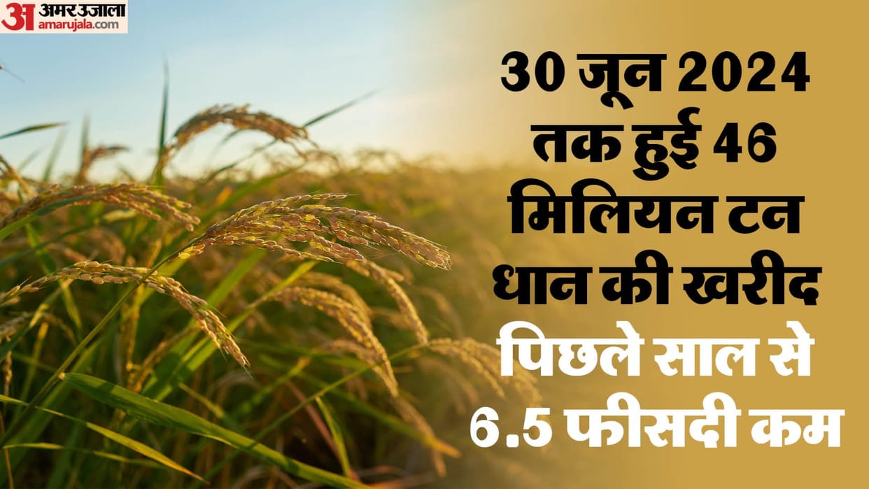 Union Government finding options for Rice marketing as Production sees a loss maintainence news and updates