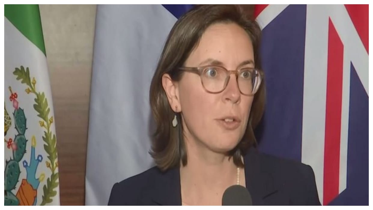 India, France working together on Artificial Intelligence: French envoy