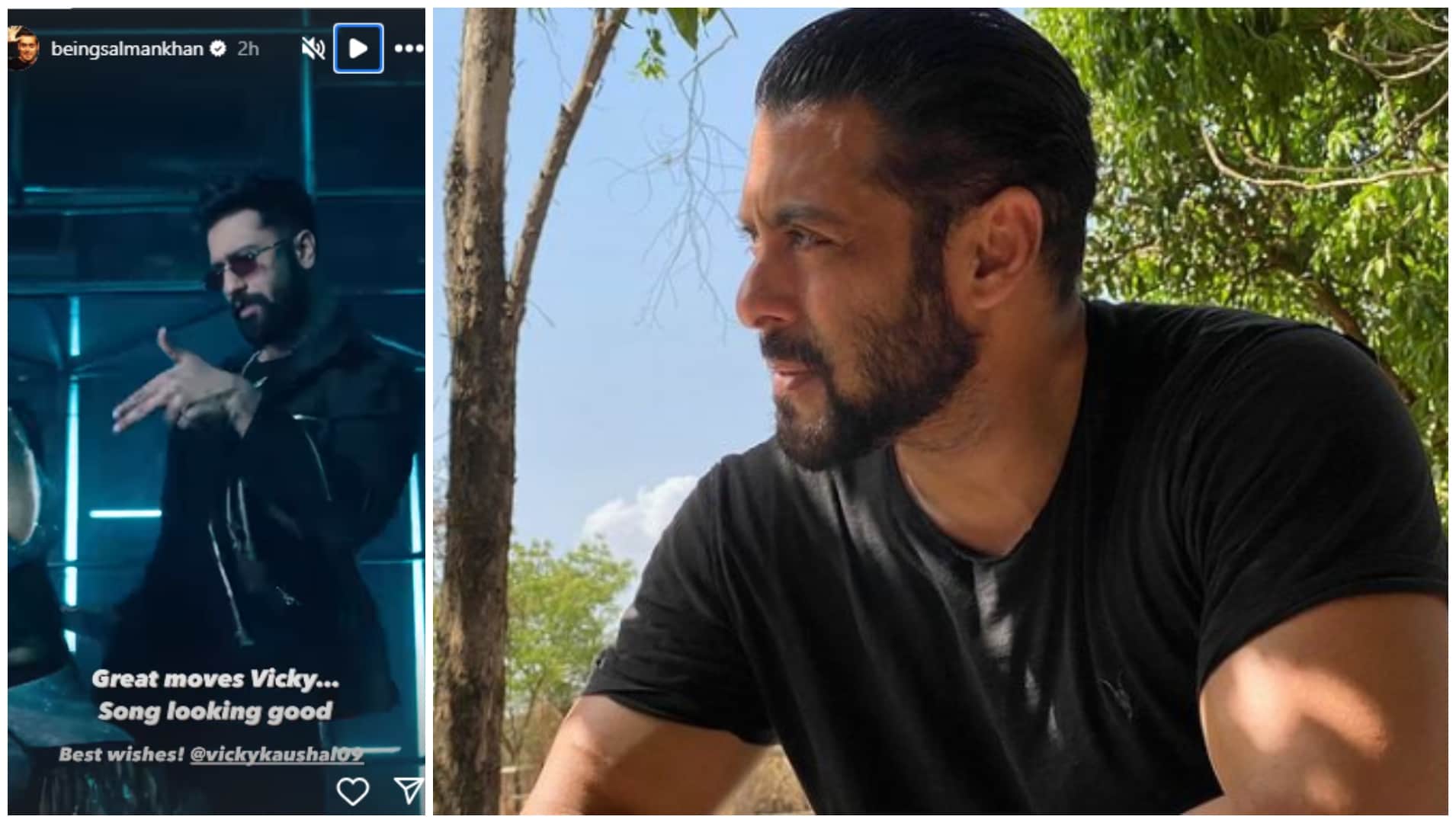 Sikandar actor Salman Khan praised Vicky Kaushal dance moves in Bad Newz viral song Tauba Tauba