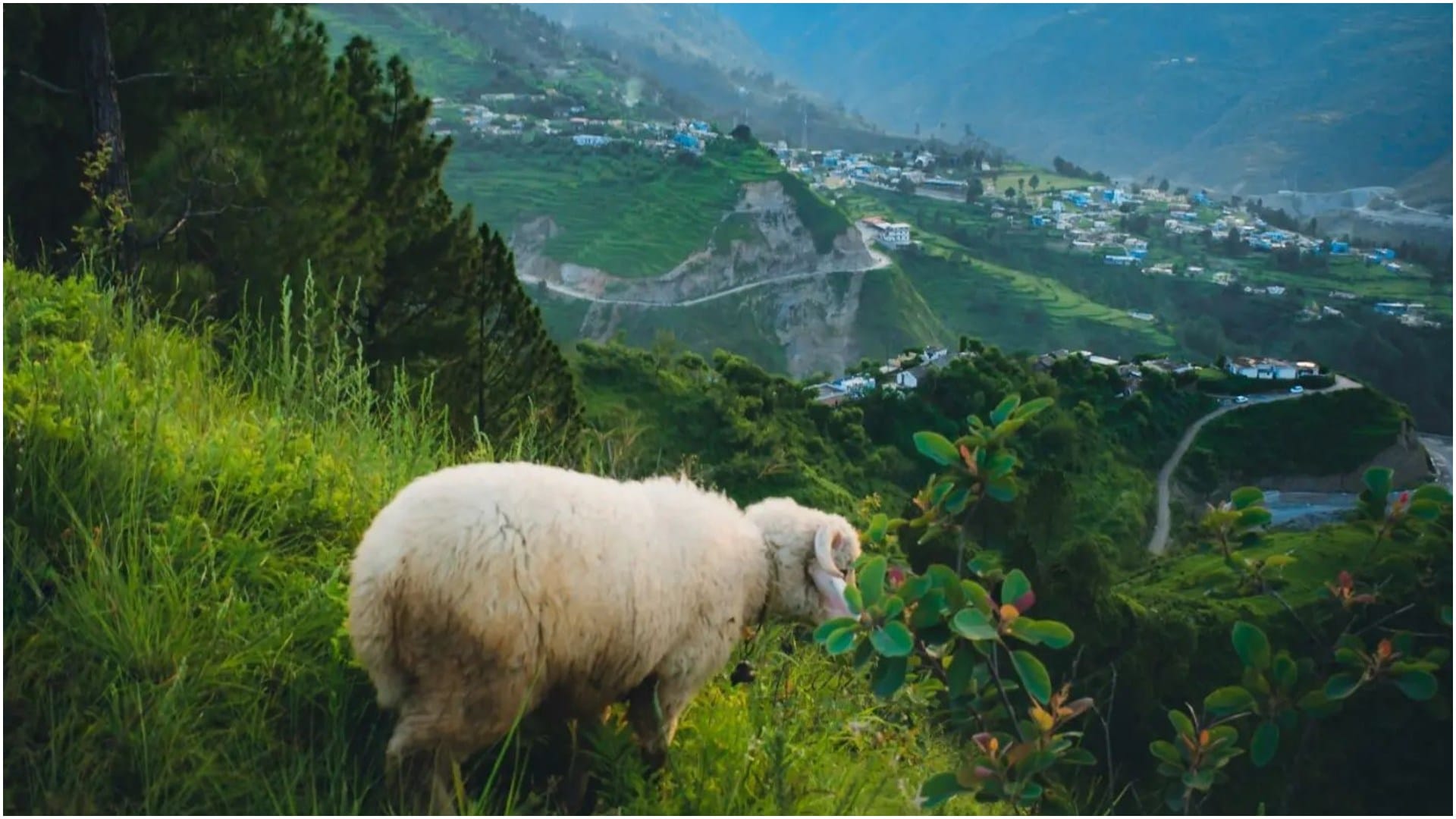 Mysterious Hill station Khait Parvat That Village at Tehri garhwar in Uttarakhand Distance From Delhi