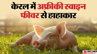 Top News Headline Today Important And Big News Stories Of 14 December 2024 Updates On Amar Ujala